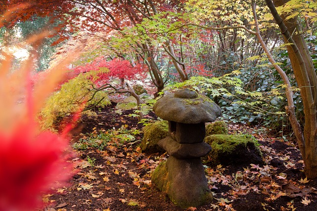 Tōrō 灯笼 石头 - 上的免费照片