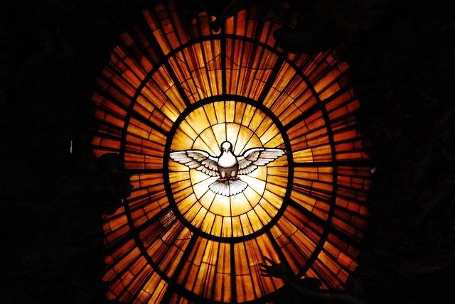 梵蒂冈 和平鸽 教廷 - 上的免费照片