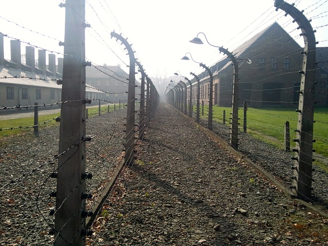 集中营 大屠杀 奥斯威辛 - 上的免费照片