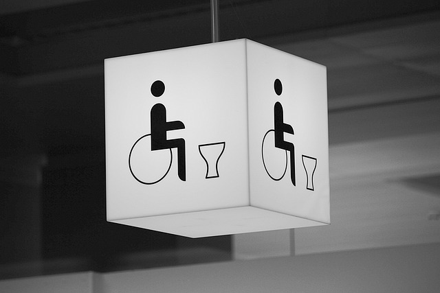 厕所 轮椅使用者 已禁用 - 上的免费照片