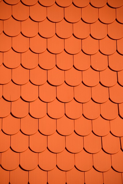 屋面板 屋顶瓦片 红色的 - 上的免费照片