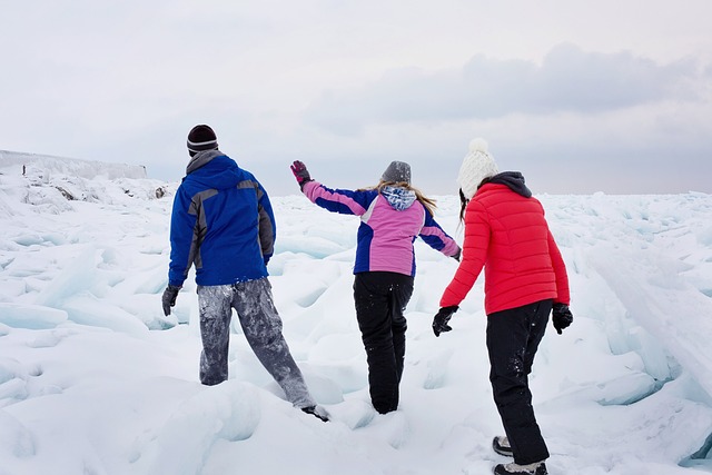 休伦湖 冻结 人们 - 上的免费照片