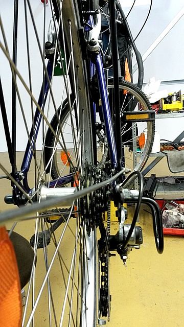 自行车 链条齿轮 6速飞轮 - 上的免费照片