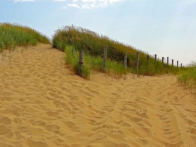 方法 沙径 沙丘 - 上的免费照片