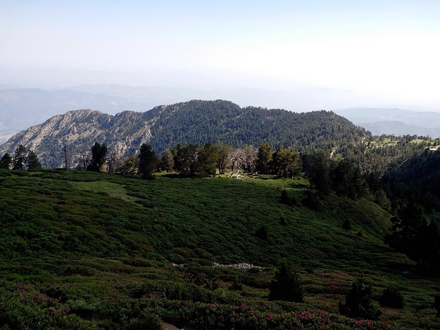 卡尼古 山 - 上的免费照片