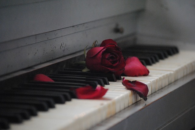 钢琴 玫瑰 红色的 - 上的免费照片