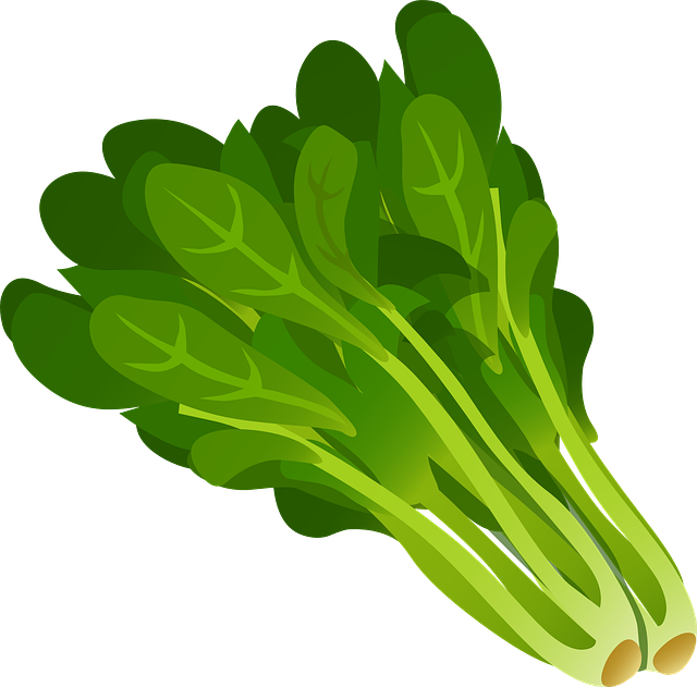 绿色 多叶的 蔬菜 - 免费矢量图形