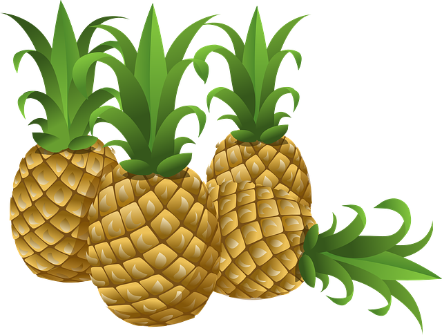 菠萝 热带 水果 - 免费矢量图形