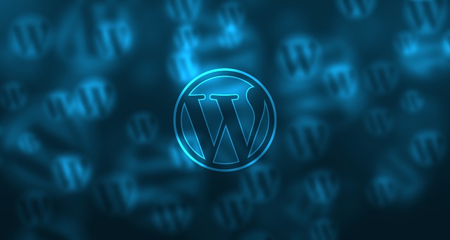 Wordpress的 网络 设计 - 上的免费图片
