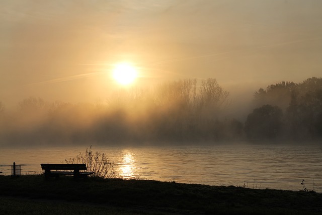 莱茵河 多雾路段 情绪 - 上的免费照片