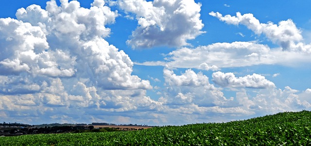 天空 云 大豆 - 上的免费照片