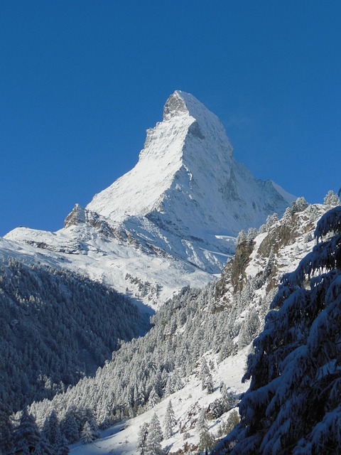 阿尔卑斯山 山 雪 - 上的免费照片