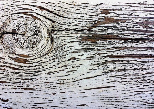 木头 老木 结 - 上的免费照片