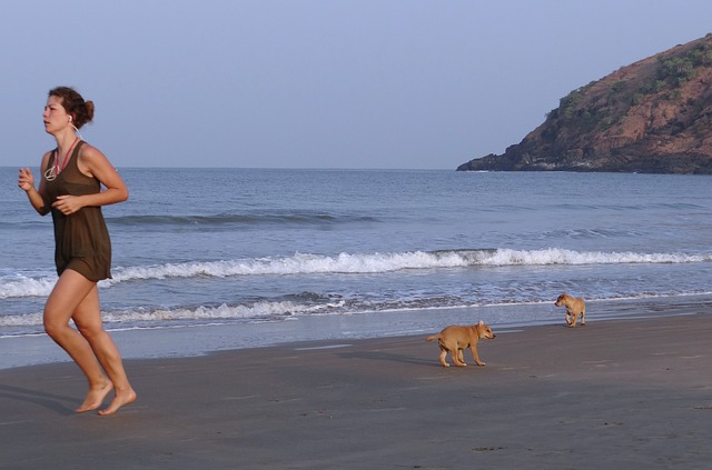 小狗 海滩 打架 - 上的免费照片