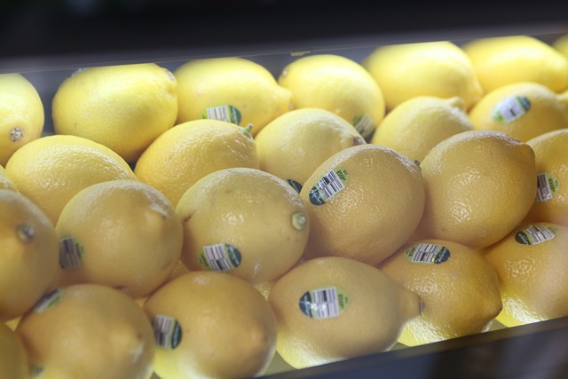 柠檬 展览 胆量 - 上的免费照片
