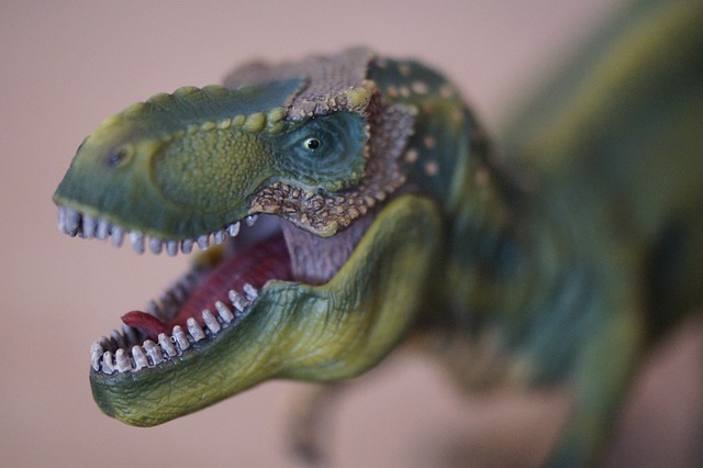 迪诺 恐龙 霸王龙 - 上的免费照片
