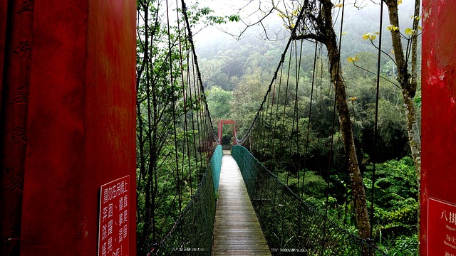 吊橋 風景 - 上的免费照片