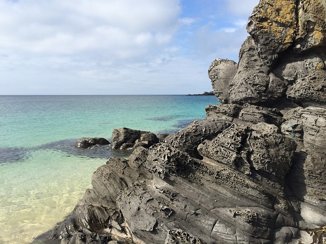 夏季 海岸 - 上的免费照片