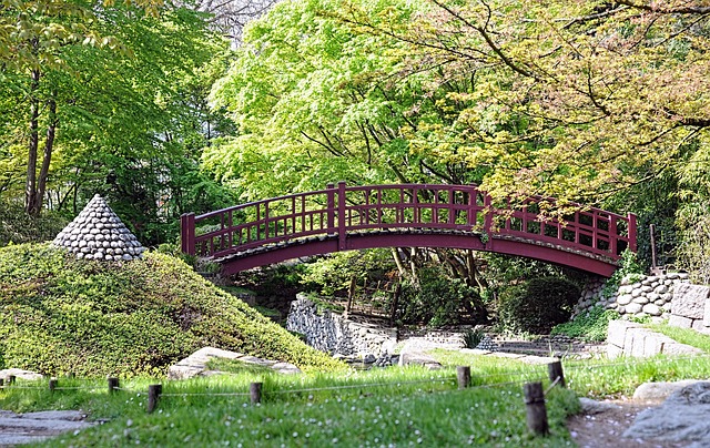 阿尔伯特·卡恩花园 桥 日本庭园 - 上的免费照片