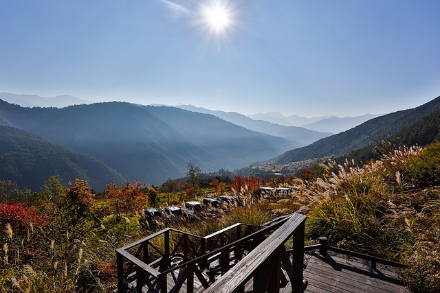 自然景觀 建築 水池 - 上的免费照片