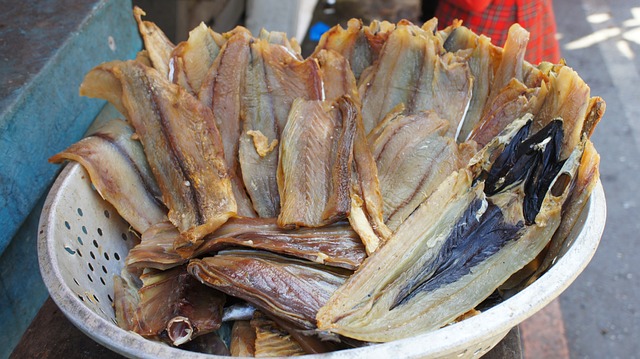 港口 漁港 魚 - 上的免费照片