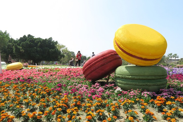 台南百花祭 馬卡龍 - 上的免费照片