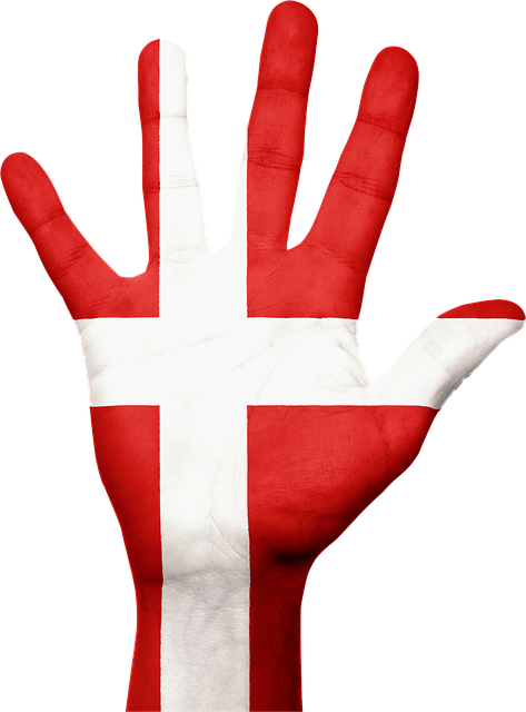 丹麦 旗帜 手 - 上的免费图片