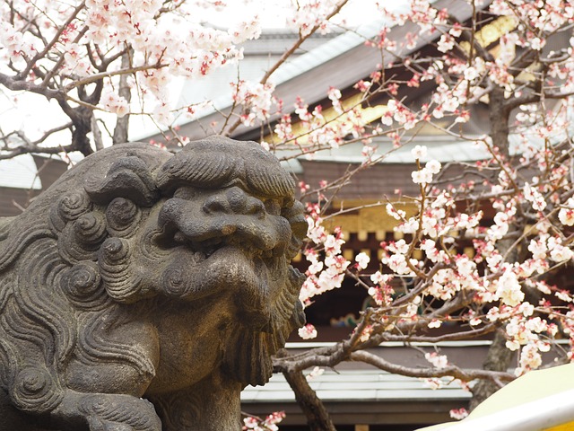 监护人的狗 神社 梅花 - 上的免费照片