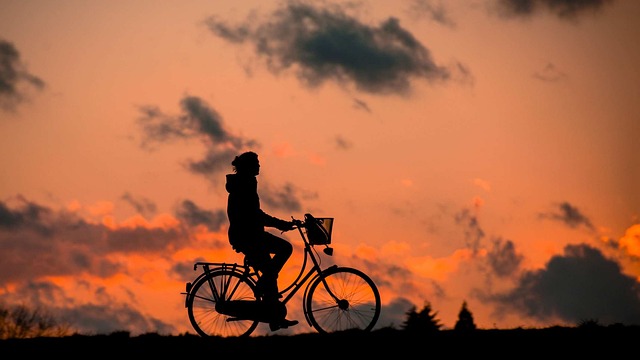 轮廓 自行车 健康 - 上的免费照片