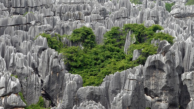 中国 昆明 石林 - 上的免费照片