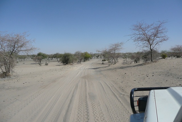 跟踪 非洲 砂 - 上的免费照片