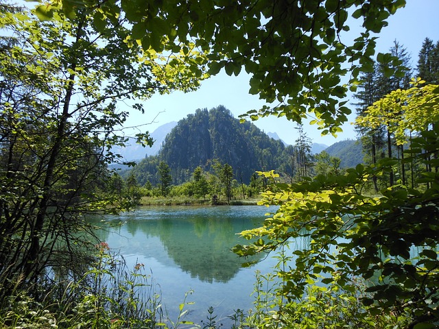 自然 景观 - 上的免费照片