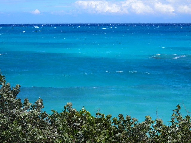 巴哈马 海洋 埃克苏马 - 上的免费照片