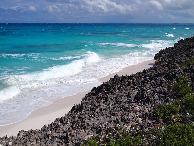 巴哈马 海岸 海 - 上的免费照片