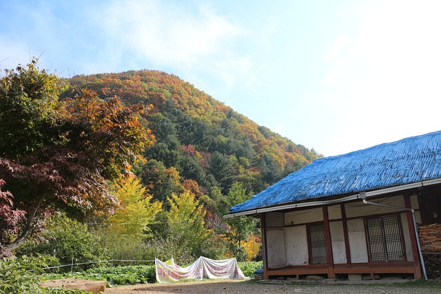 秋季 景观 秋景 - 上的免费照片