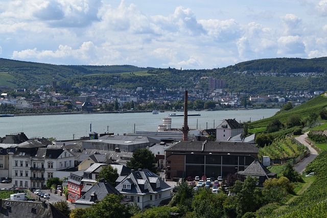 莱茵高 莱茵河 Rüdesheim - 上的免费照片