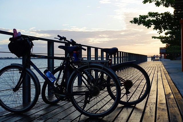 單車 自行車 海 - 上的免费照片