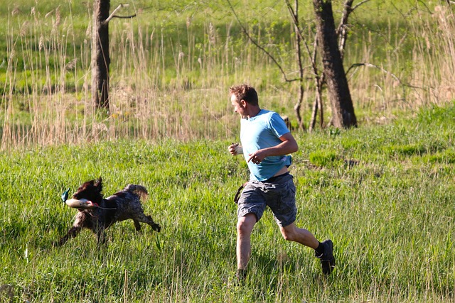 草地 人的 狗 - 上的免费照片