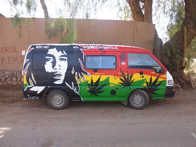 嬉皮 鲍勃·马利 大麻 - 上的免费照片