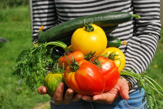 蔬菜 园丁 - 上的免费照片