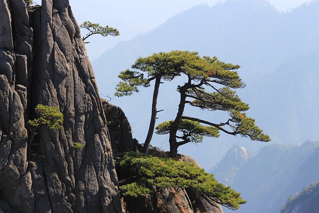 中国 黄山 山 - 上的免费照片