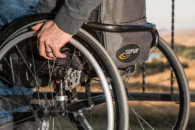 轮椅 失能 受伤 - 上的免费照片