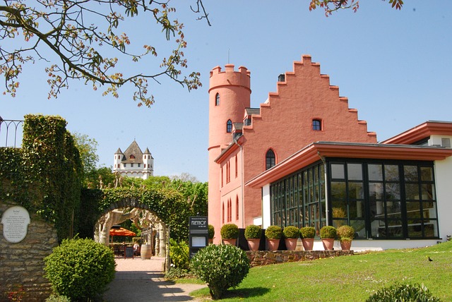 埃尔特维尔 莱茵高 城堡粗鲁 - 上的免费照片