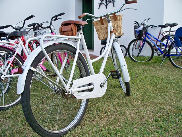 自行车 白色的 骑自行车联合会 - 上的免费照片