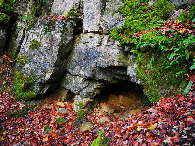 洞穴入口 密切 洞穴 - 上的免费照片