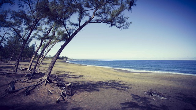 étang Salé 留尼汪 海滩 - 上的免费照片