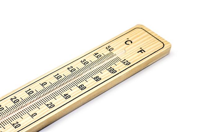 温度计 温度 测量 - 上的免费照片