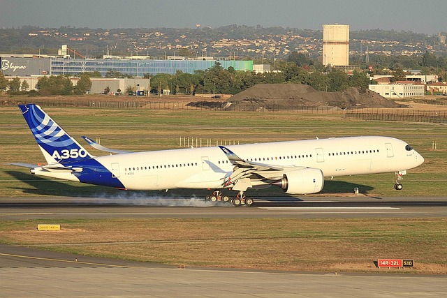 空中客车公司 A350 飞机 - 上的免费照片