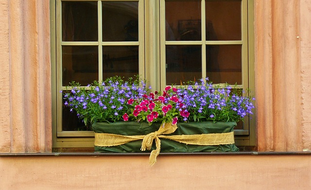 花卉装饰 窗台 窗户 - 上的免费照片