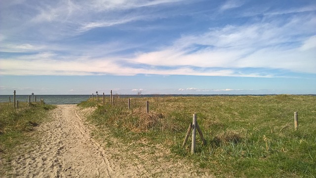 海滩小径 小路 云 - 上的免费照片